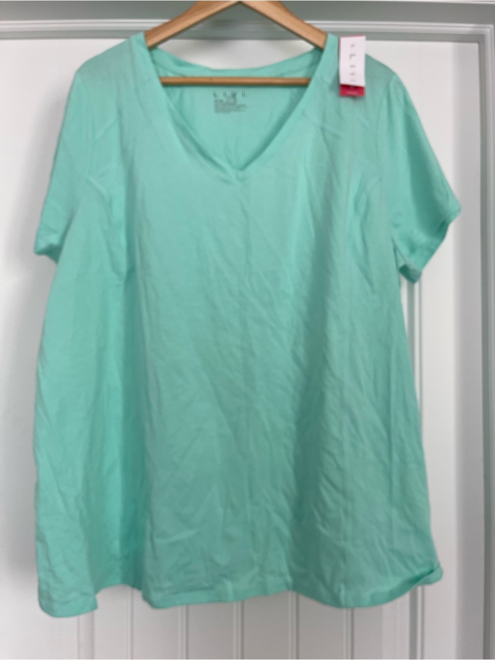 Livi Active Mint V-Neck Short Sleeve Tee